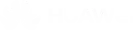 Huawei Footer