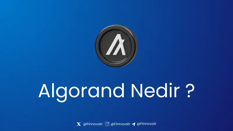 ALGO Nedir? Nasıl Çalışır? 