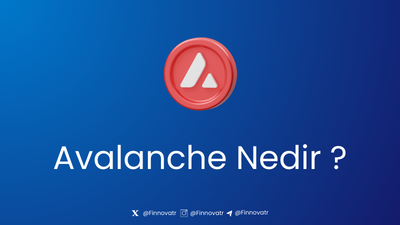 AVAX Nedir ? Kim Oluşturdu ?