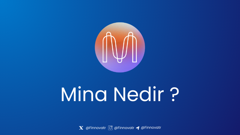 MINA Nedir? Hangi Teknolojiyi Kullanır? 